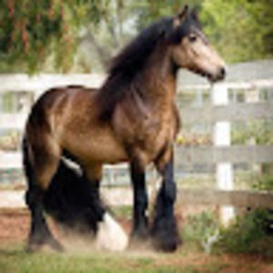 Meet your Posher, Bethany